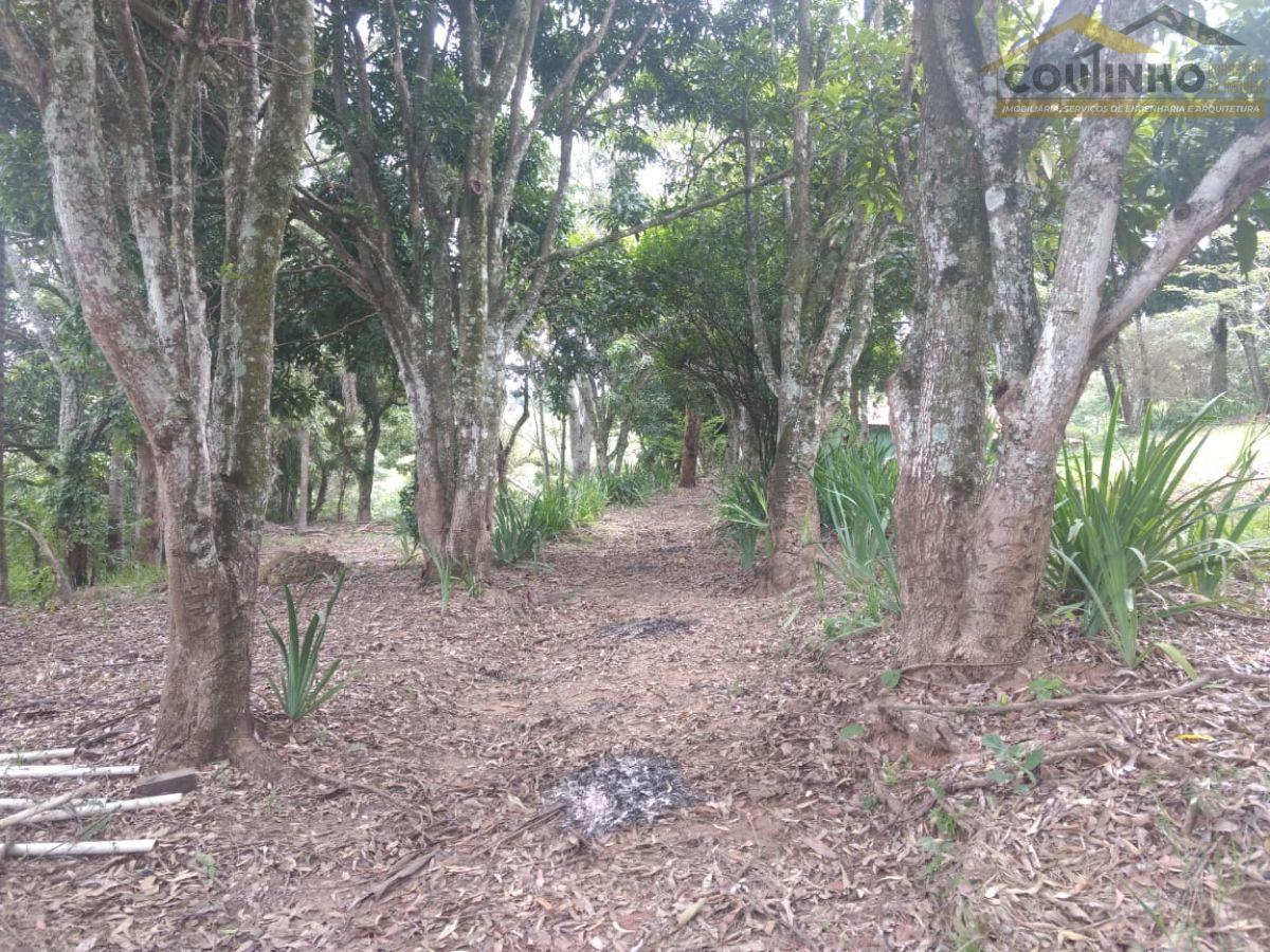 WhatsApp Image 2025-12-19 at 16.42.48 (2).jpeg